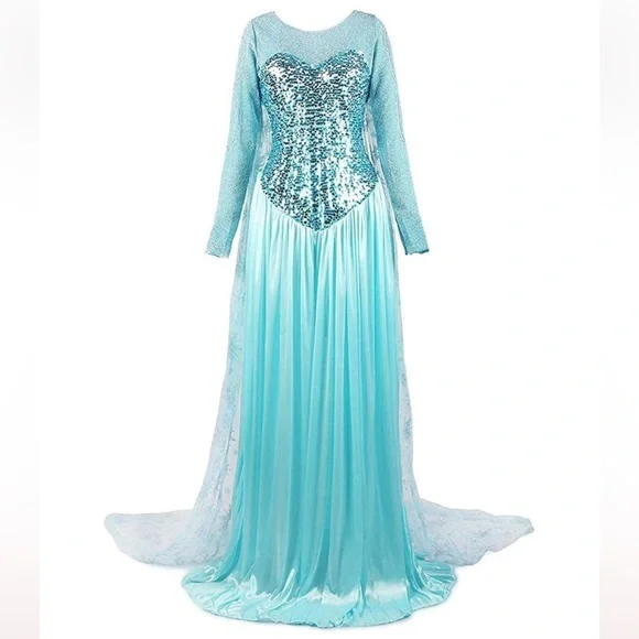 Adult Elsa Frozen Dress Costume - Picture 1 of 11